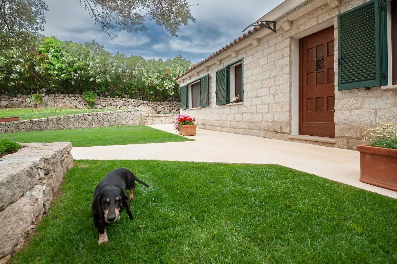 Villa Con Piscina Nelle Colline Della Gallura أرتْساكينا