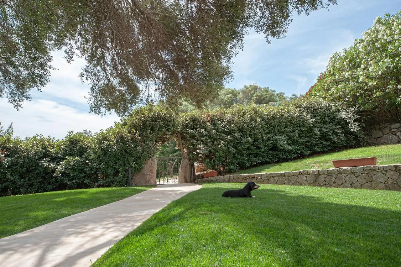 Villa Con Piscina Nelle Colline Della Gallura أرتْساكينا إيطاليا